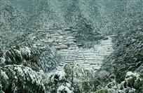 山村竹海