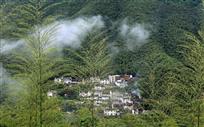 竹海山村