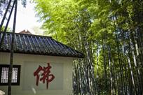 佛与竹