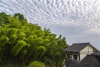 竹乡小景