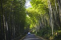竹海公路