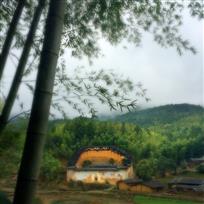 《竹林环抱》——  林武旺 摄