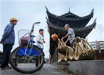 廊桥晨交易——林武旺 摄