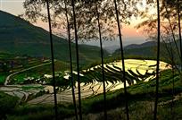 田园夕照 ——张栋华 摄