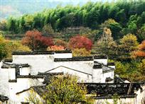 《竹林人家》
