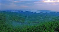 蔡伦竹海