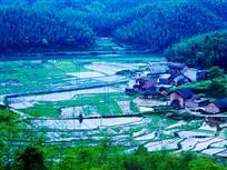 山清水秀农家乐