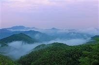 醉美竹海