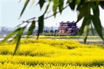 春到神木园