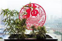 竹福