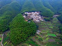 大山里的村落