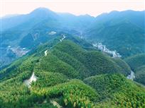 山道弯弯