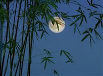 《清影明月鉴》