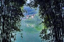 《步入竹门画中游》