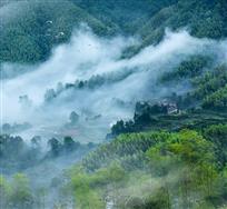 竹海家园