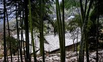 竹乡初雪