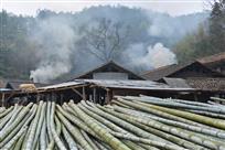 《大山深处》