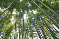 《”鳞次栉比“》组照4