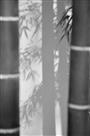 水墨竹韵（二）