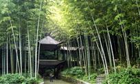 空山竹瓦屋