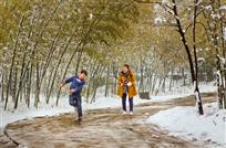 嬉雪
