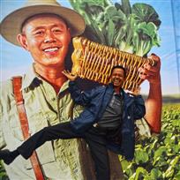 竹菜筐的丰收乐