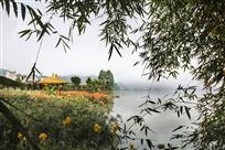一湖春帘