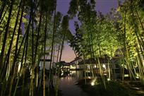 博物馆之夜