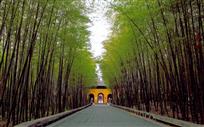 幽篁深处宝华寺