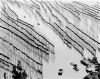 竹排海带