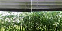 窗里窗外