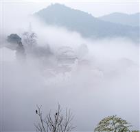 小村晨歌