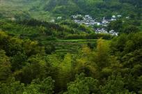 陈村人家