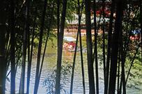 幽雅竹园