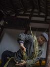 剝茧抽絲