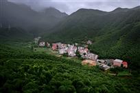 我家住在竹海中