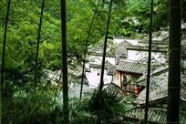 翠竹映家园
