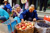 《鲜果上市》