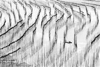 海带丰收季