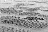 海上水墨画