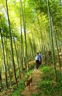 巡山路上
