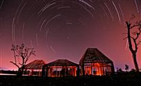 大木山茶园星空