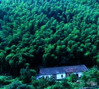 大山深处
