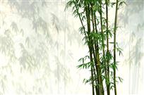 竹语