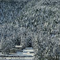 雪后