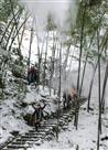 雪中乐