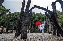 《金鸡独立》