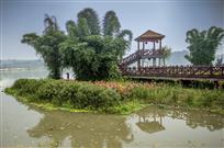 《湿地美图》