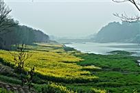江南岸