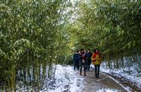 雪中行